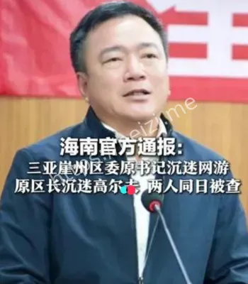 书记沉迷网游